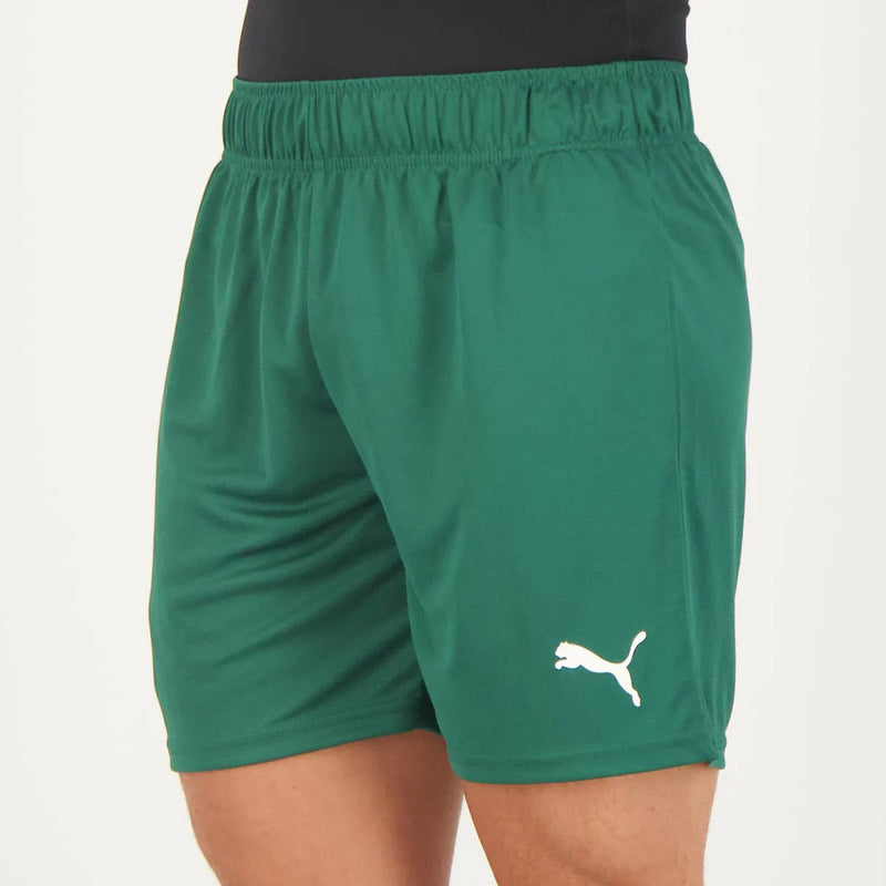 Short Palmeiras ll 2023/24 Verde